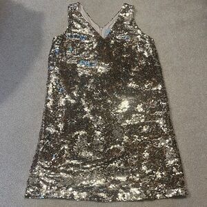 Loft sequin dress